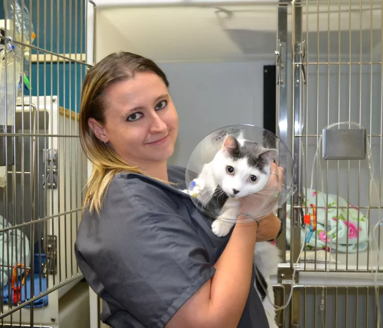 Saint Francis Veterinary Specialists, Georgia, Decatur